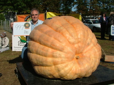 Giant Pumpkin 3rd Place