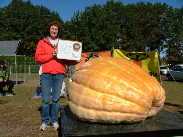 Giant Pumpkin 7th Place