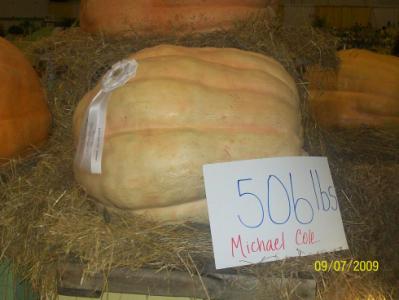 Cole Pumpkin