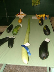 Long Gourd