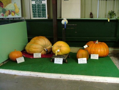 Giant Pumpkin Entries