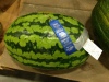 1st Place Melon