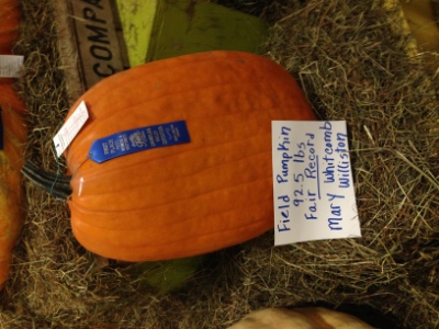 1st Place Field Pumpkin