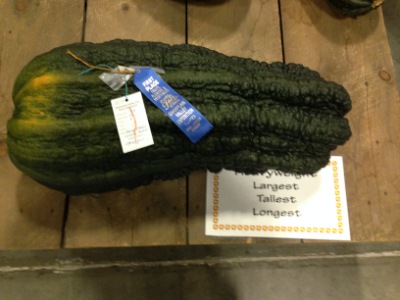 1st Place Marrow