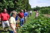 Everybody checking out the Coles patch