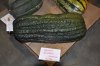 Giant Marrow weighed in at 47 lbs