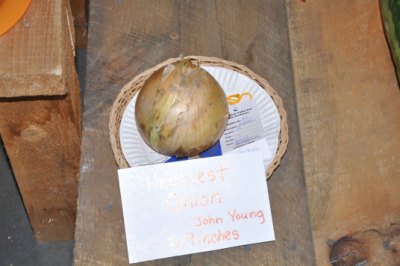 Largest Onion grown by John Young