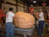 Wilbur Horton's pumpkin grown from the 904 Stelts is up..