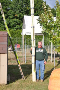 Longest Long Gourd 115 1/8th