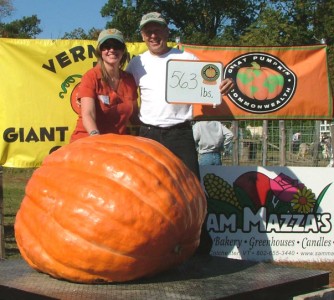 12th Place Pumpkin