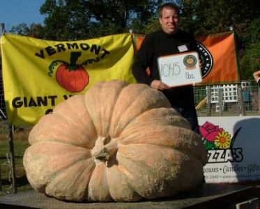 3rd Place Pumpkin