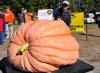 Exhibition pumpkin - Terry Keim 1158 lbs.