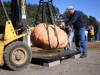 Most ever pumpkins weighed at our weigh-off (26).