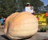 9th Place Giant Pumpkin