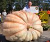 DMG Giant Pumpkin