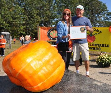 Exhibition Giant Pumpkin
